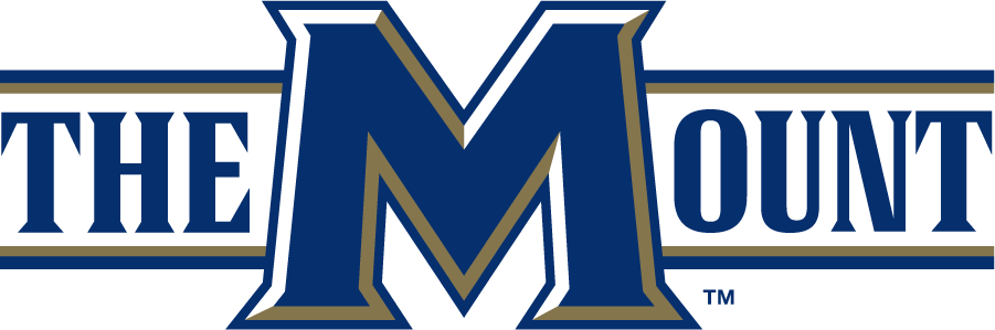 Mount St. Marys Mountaineers 2006-2016 Wordmark Logo v3 DIY iron on transfer (heat transfer)